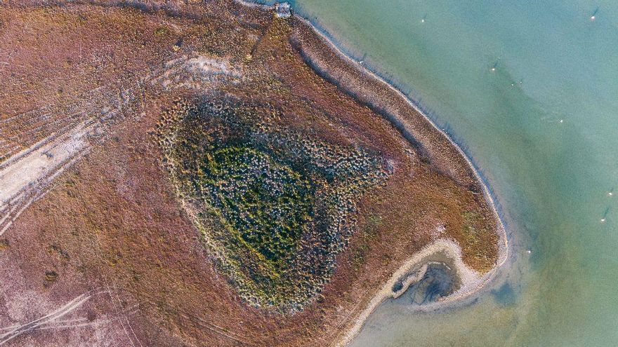 Día de los Humedales, una oportunidad para reivindicar la agricultura y la ganadería sostenible