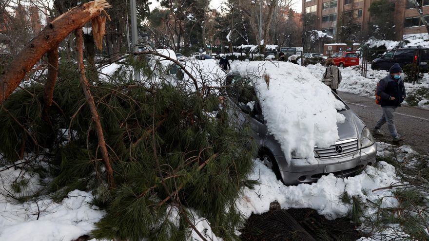 Vista de las ramas caídas de un árbol junto a un coche en la calle de Arturo Soria en Madrid. EFE/ Chema Moya/Archivo