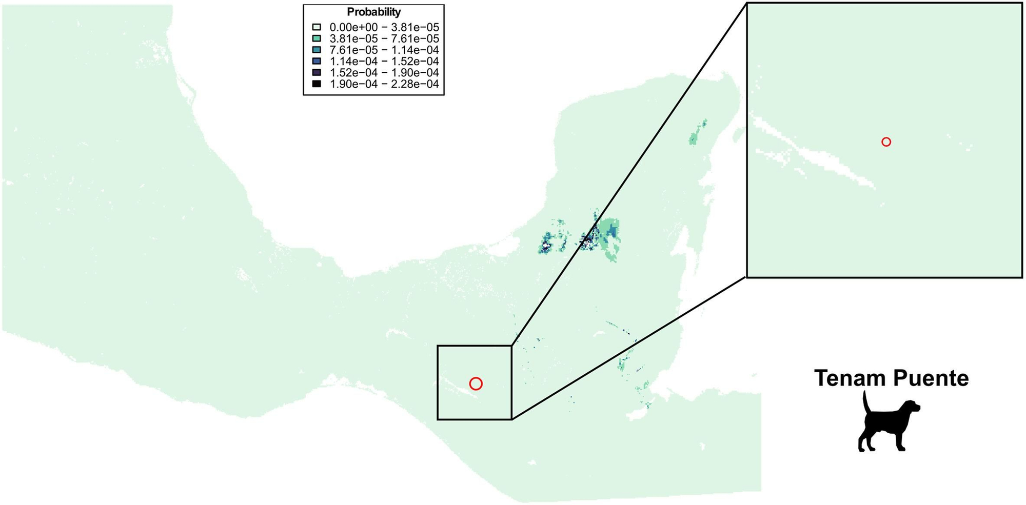 Mapas de probabilidad posterior agregada de los especímenes de perros domésticos de Tenam Puente, basados en isótopos de estroncio generados mediante el método de clasificación de píxeles descrito en la sección de métodos. El círculo rojo representa la ubicación de la zona monumental de Tenam Puente. Para generar estas figuras, consulte el Script complementario 1 (10.17605/ OSF.IO/Z8FGQ ). Elaborado por Clement Bataille.