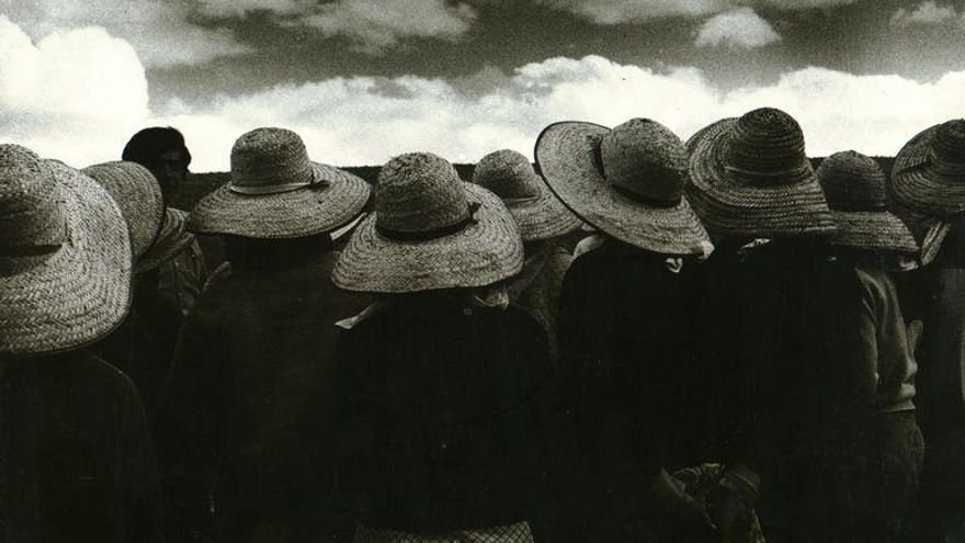 Recolectoras de algodón en Córdoba
