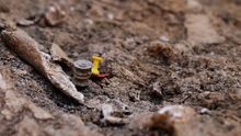 Cuando los huesos "hablan": cómo se exhuma una fosa del franquismo
