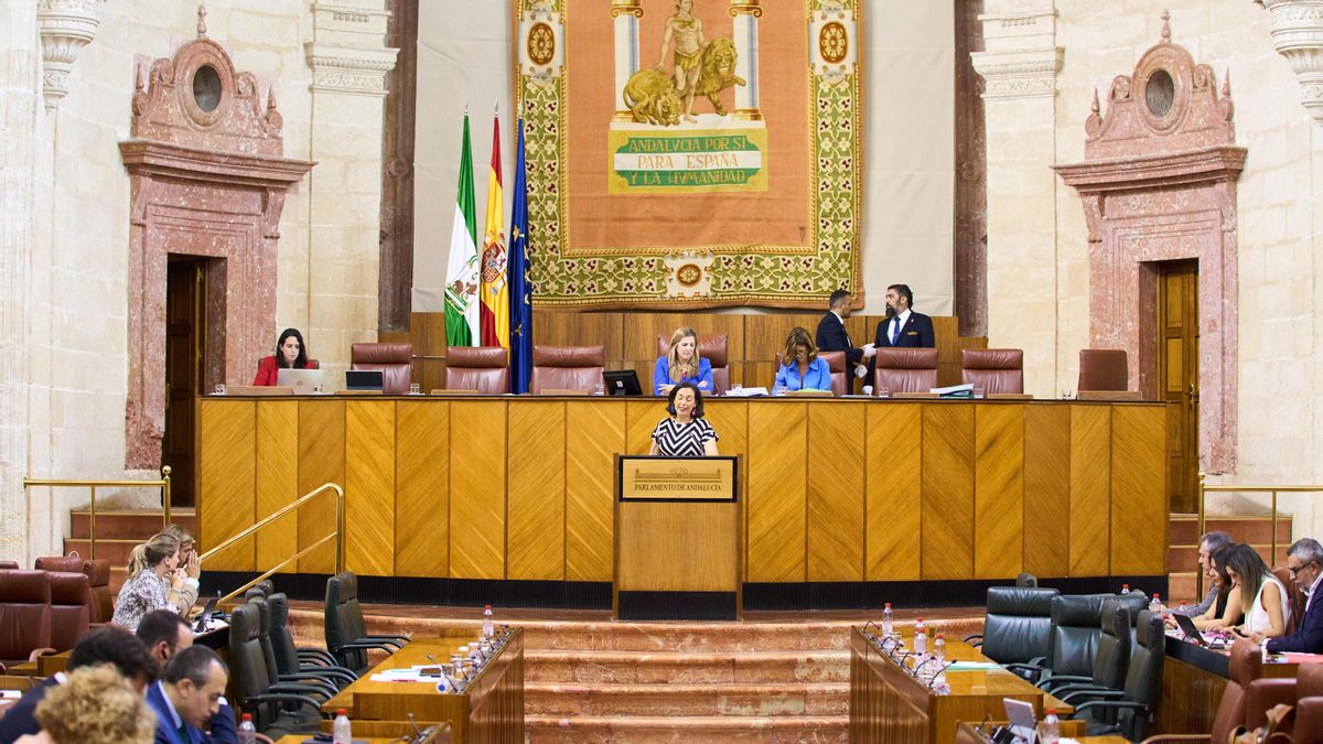 La diputada del PSOE-A Mercedes Gámez interviene en defensa de una iniciativa para la creación de un grupo de trabajo sobre violencia de género en el Parlamento andaluz.