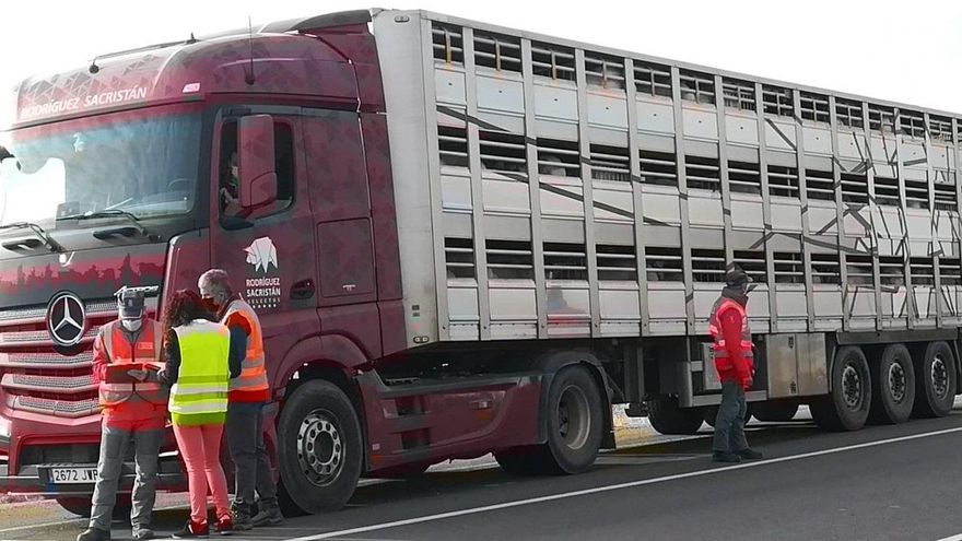 Policía Foral inspecciona un vehículo de transporte animal en carretera N-113