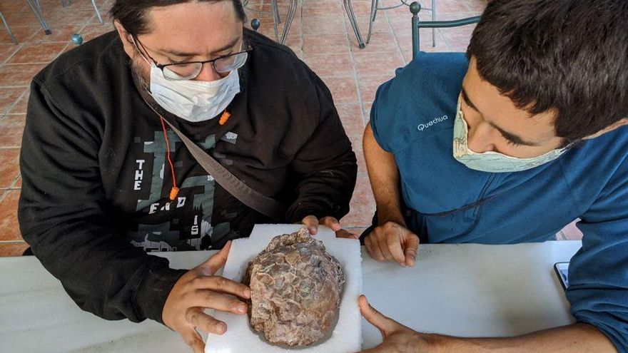 El Laboratorio Paleontológico de Loarre: un lugar donde ver huevos de dinosaurio y retroceder unos 70 millones de años