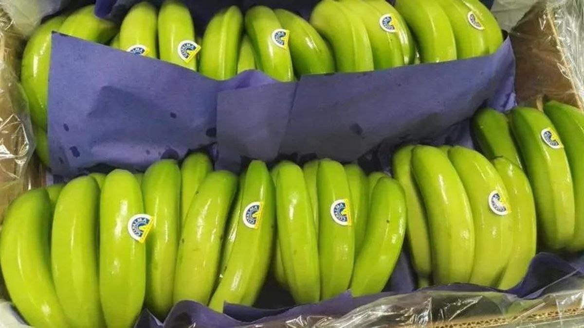 Imagen de archivo con manillas en verde de plátanos de la cooperativa Cupalma.