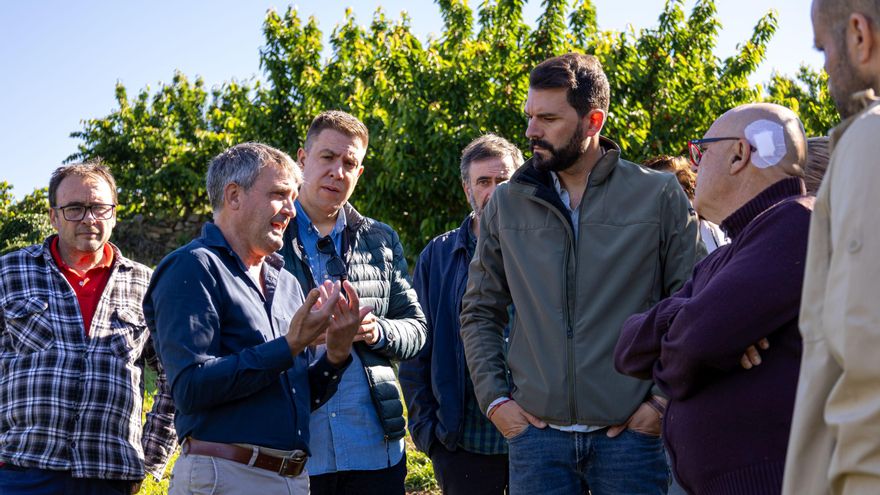 Sánchez Cotrina exige ayudas urgentes para los productores de cereza del norte de Cáceres tras las lluvias