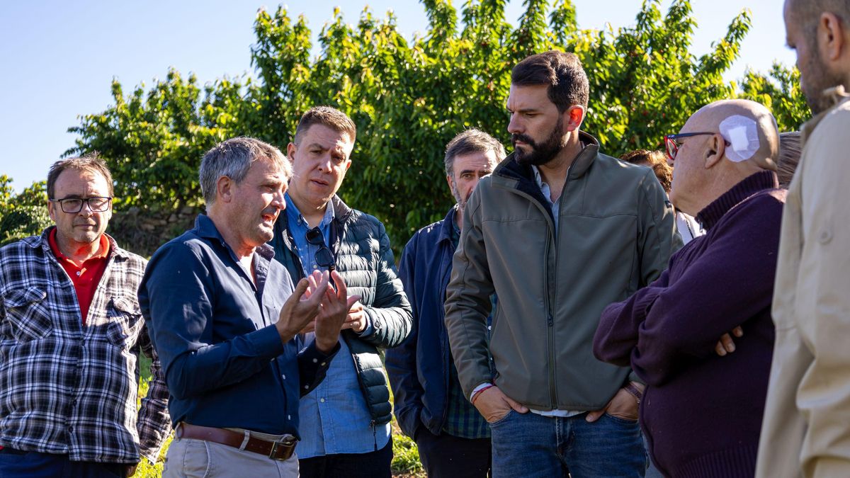 Sánchez Cotrina exige ayudas urgentes para los productores de cereza del norte de Cáceres tras las lluvias