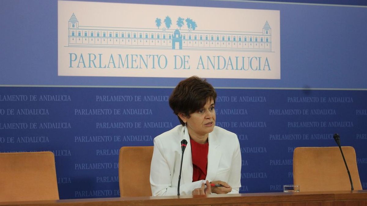 Podemos confía en que el resto de partidos apoyen un pleno extraordinario porque la salud y la educación "lo merecen"