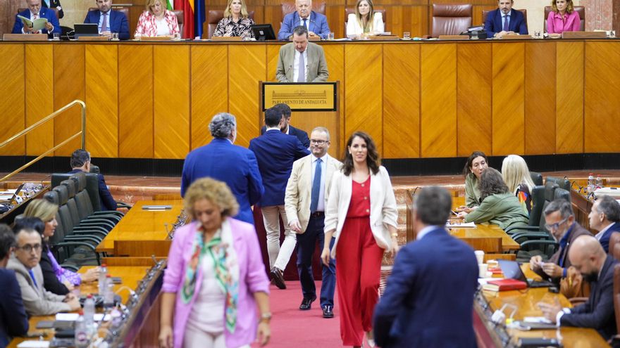 El Parlamento andaluz pide un informe jurídico tras la querella del fiscal contra un diputado por sus opiniones políticas