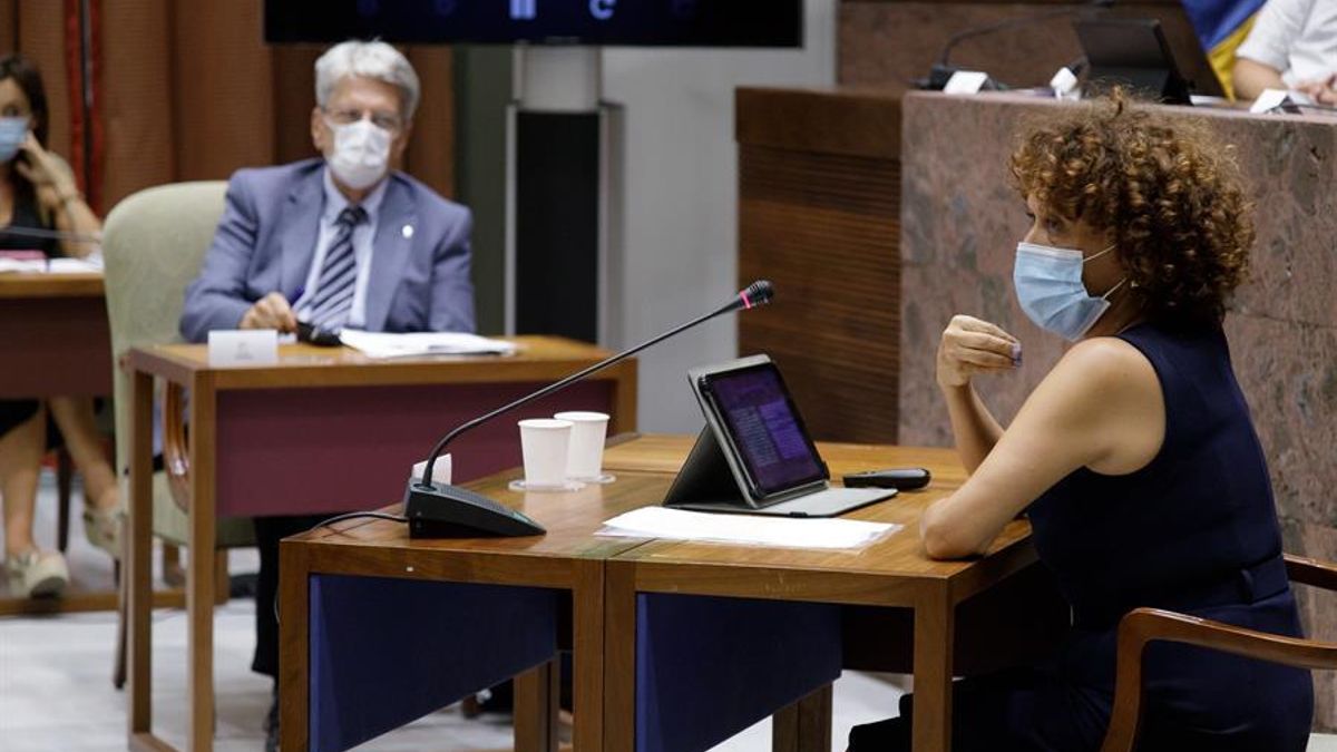La magistrada del juzgado de Violencia contra la Mujer Nº2 de Las Palmas de Gran Canaria, Auxiliadora Díaz compareció en la comisión de Gobernación, Desarrollo Autonómico, Justicia y Seguridad. EFE/Ramón de la Rocha