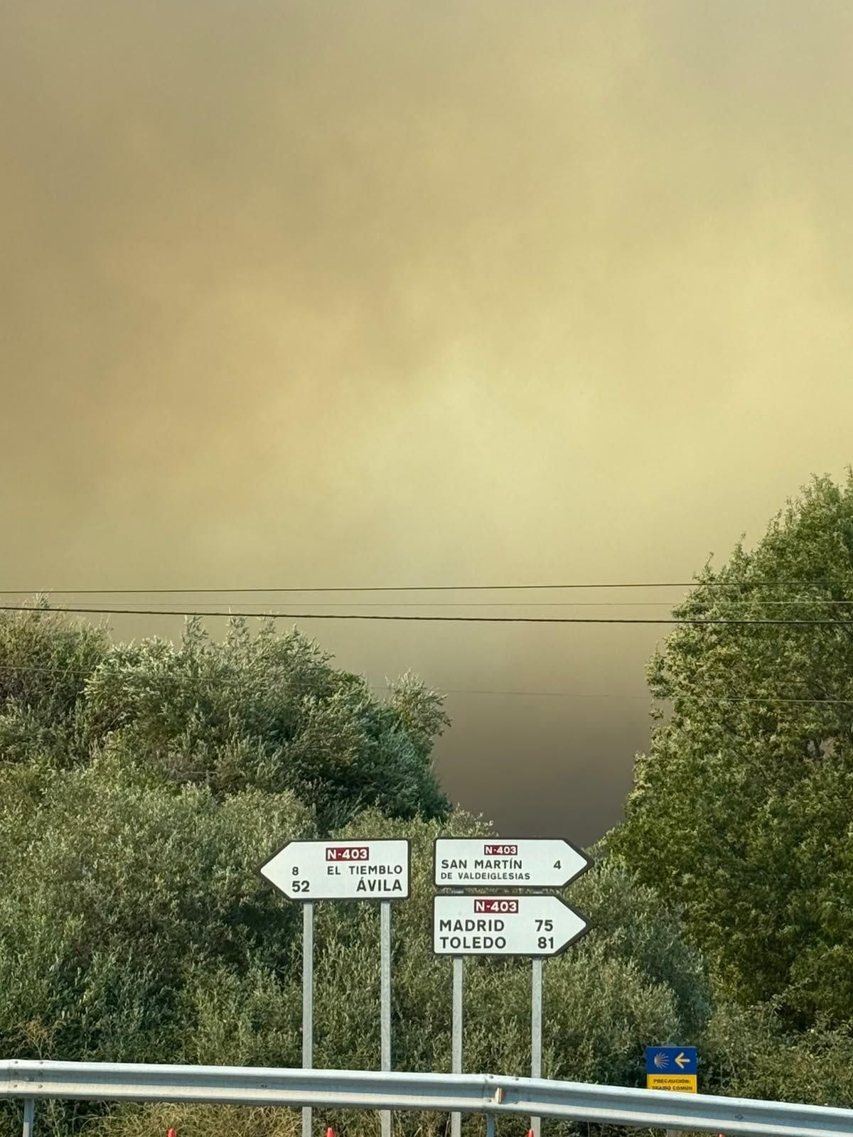 Una carretera con los incendios al fondo