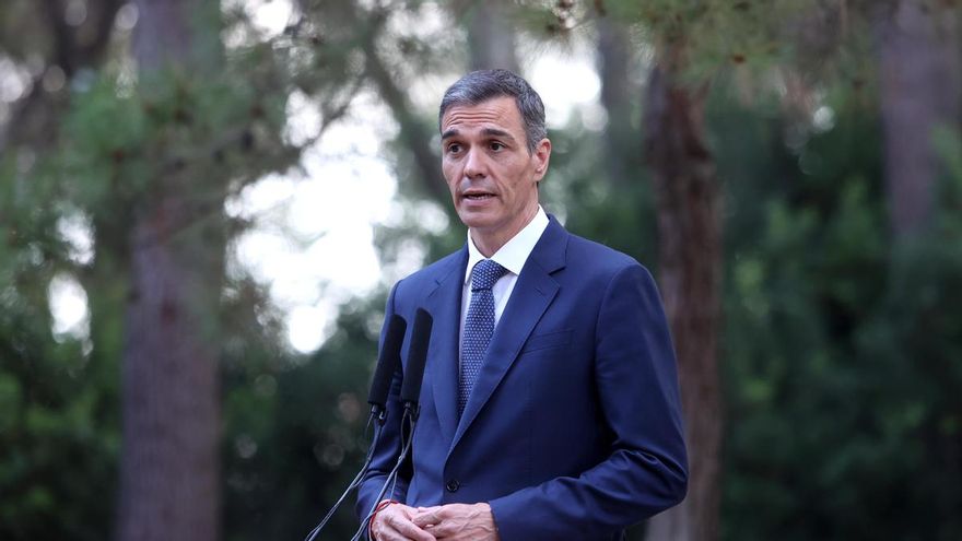 El presidente del Gobierno, Pedro Sánchez.