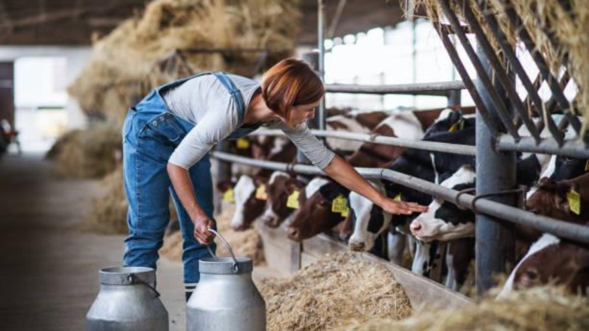 Titularidad compartida: una igualdad que aún no ha llegado al campo