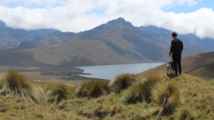 El "suicidio" de los cuvivíes en Ecuador sigue en un limbo científico