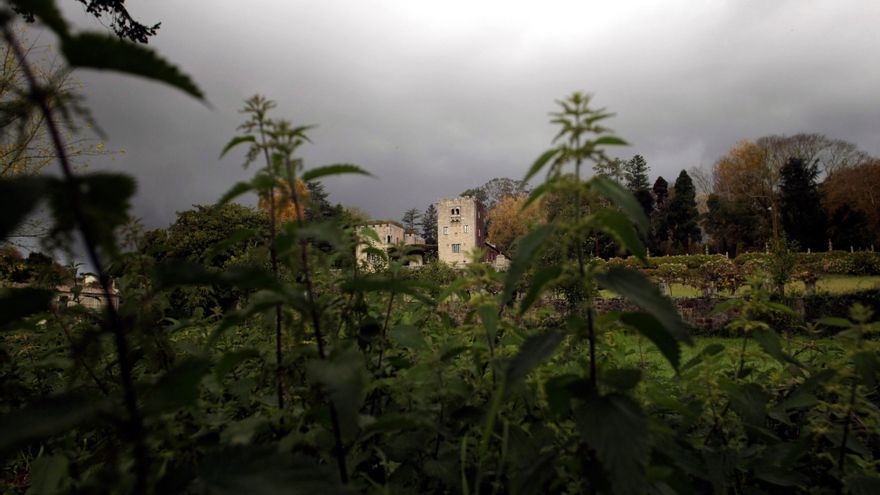 Arranca con gran expectación la vista por la cautelar de los bienes de Meirás