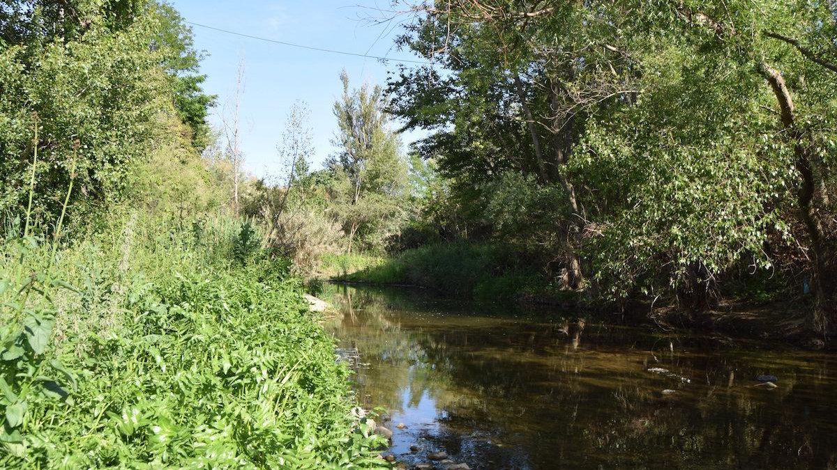 El Gobierno de La Rioja licita por urgencia por 422.869 euros las obras del Camino Verde del Alhama