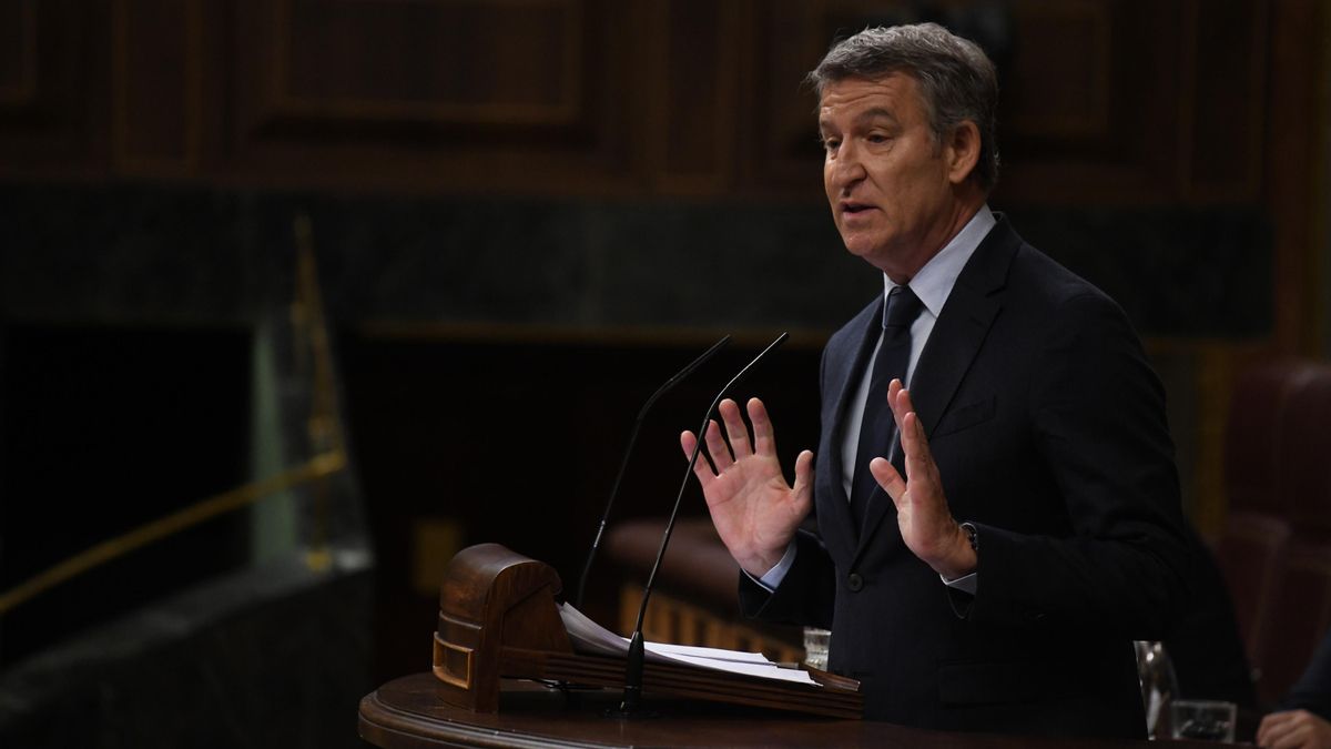 El presidente del PP, Alberto Núñez Feijóo, interviene durante la sesión plenaria