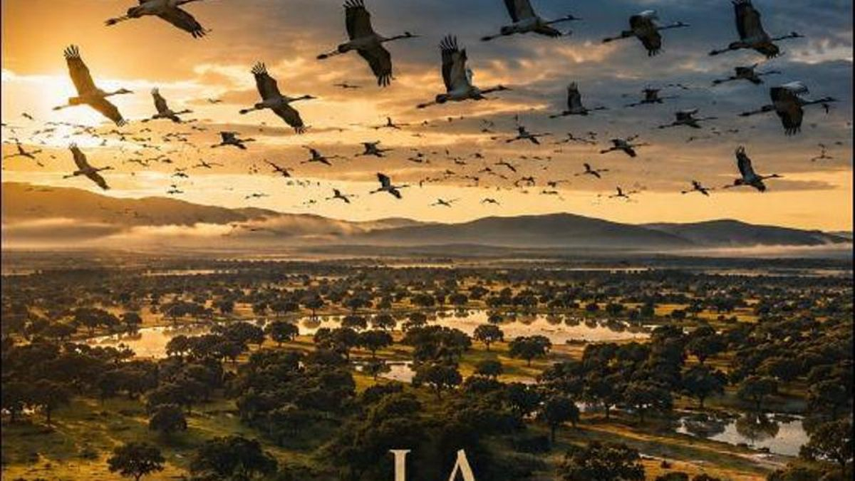 340.000 euros para llevar el talento de Extremadura al cine: los cuatro proyectos elegidos en Badajoz