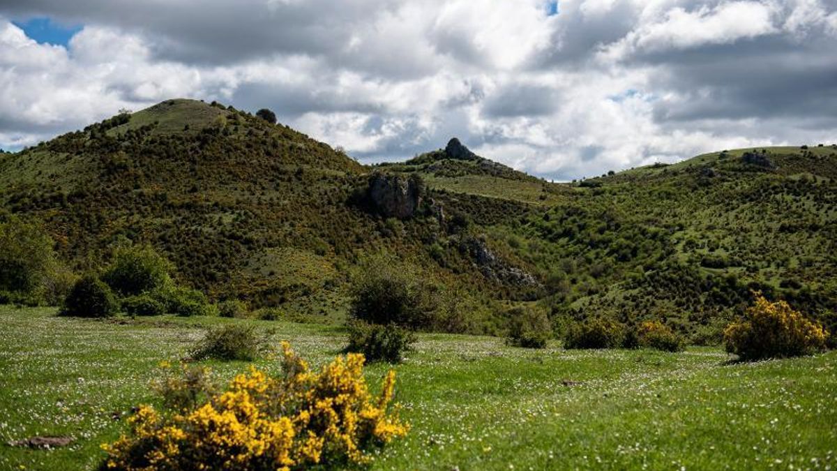 Importante descenso de las temperaturas este domingo en La Rioja