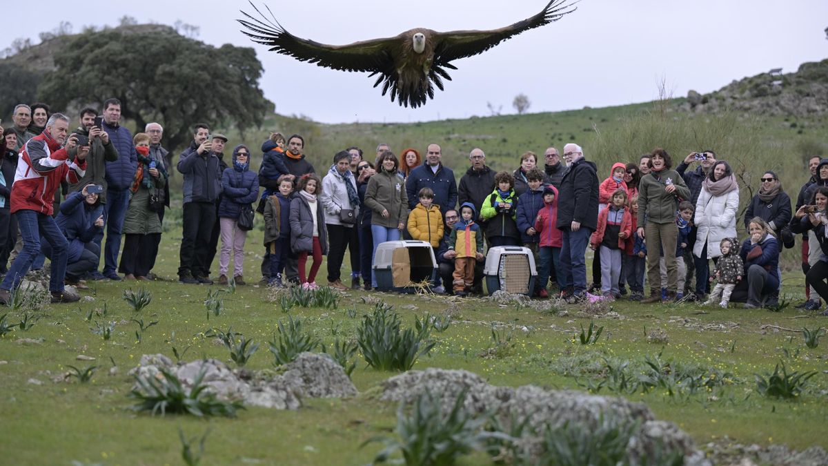Llega una nueva edición del Festival de las Grullas del Valle de Alcudia