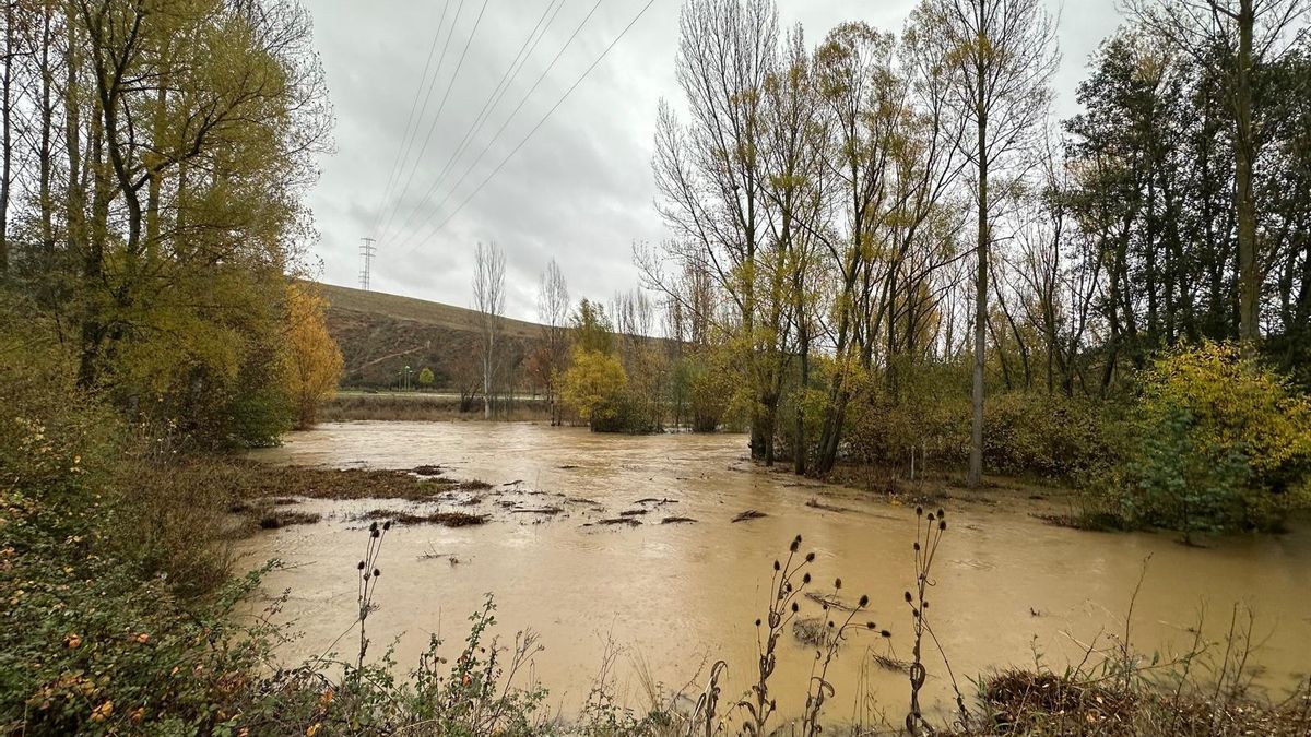 El río Torío, crecido y turbio a su paso por la Candamia, en León.
