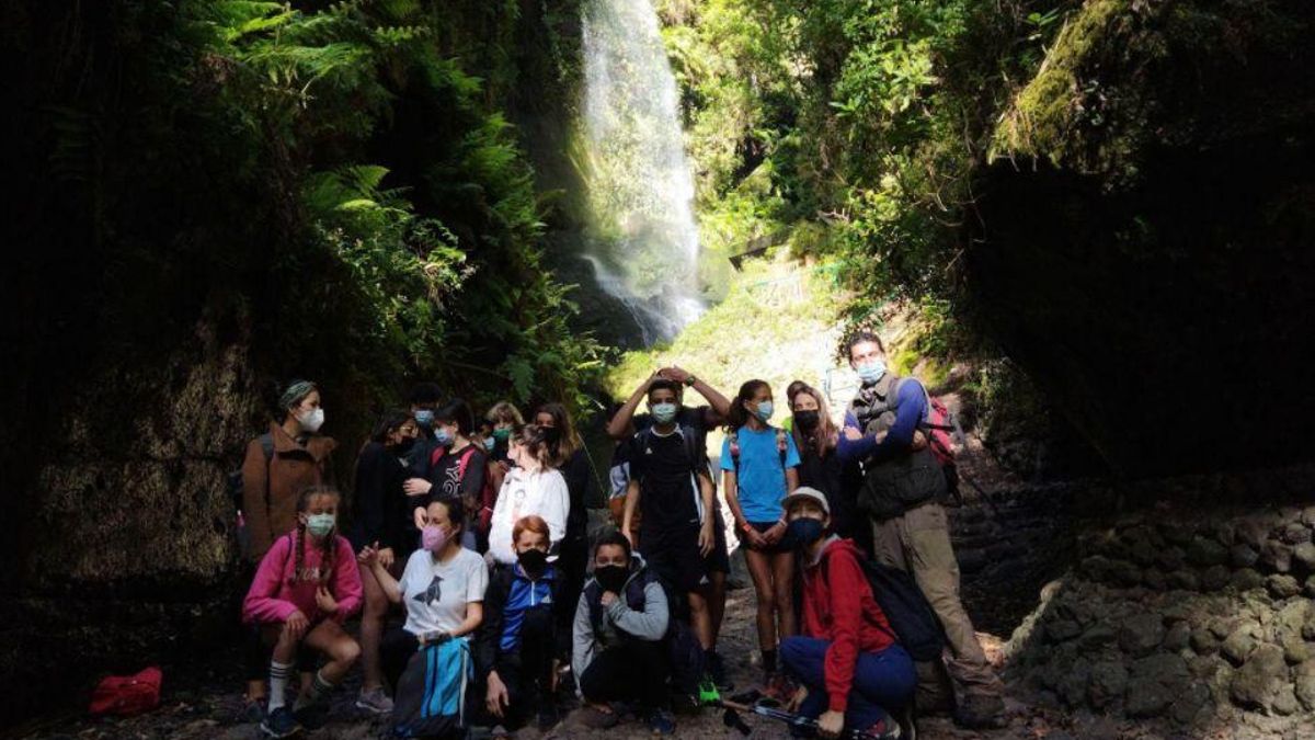 El alumnado de primero de ESO del IES de El Paso, junto con el profesorado y representantes de Ecca conocieron la importancia de la laurisilva como captador de lluvia horizontal .