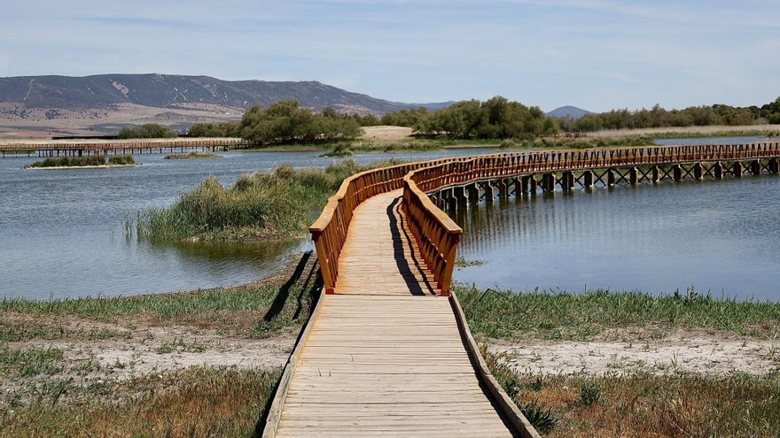 Ecologistas reprochan a científicos que “beneficien” a “intereses de los grandes regantes” en las Tablas de Daimiel