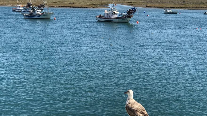 La flota pesquera de Huelva se encuentra amarrada al 100% desde el jueves