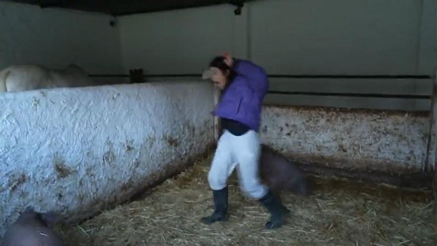 Un cerdo se "vengó" de Maite Galdeano con un mordisco: "¡Llama al médico!"