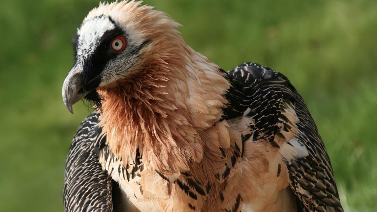 Equipos de rastreo peinan la zona para evitar nuevos casos