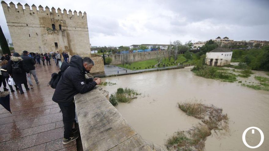 Crecida del Guadalquivir tras el primer 'round' de Nelson, en imágenes