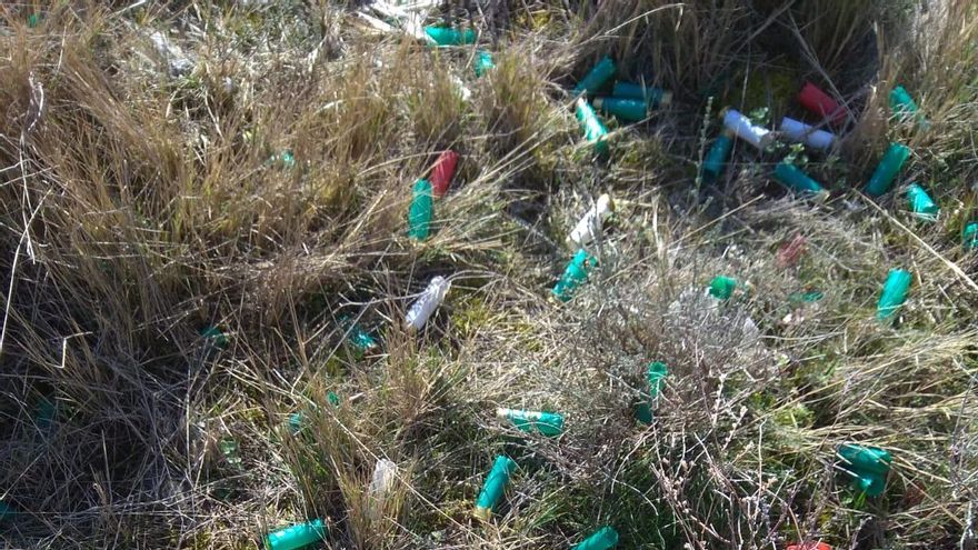 Para Amigos de la Tierra, la propuesta de Ley de Caza "no supone ningún avance medioambiental ni social"