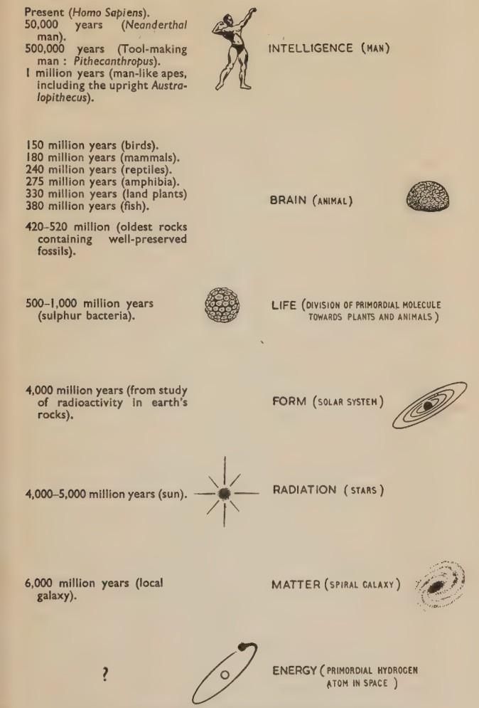 “La secuencia evolutiva según nuestra experiencia”: del hidrógeno primordial al 'gym bro'. Por cada especie viva o extinta se podría trazar una línea análoga. De 'The Inhabited Universe', 1957.