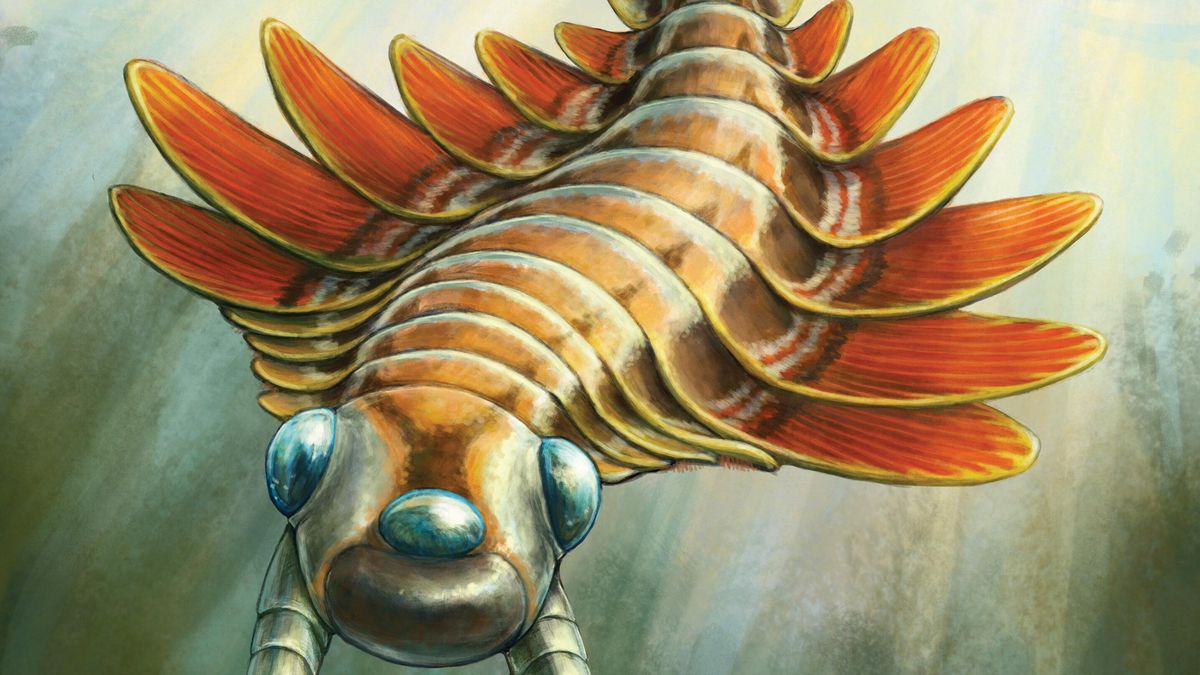 El Mosura fentoni tenía garras articuladas y espinosas, una boca circular con dientes y un cuerpo con aletas natatorias a los lados