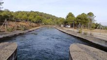 Canal del Trasvase.