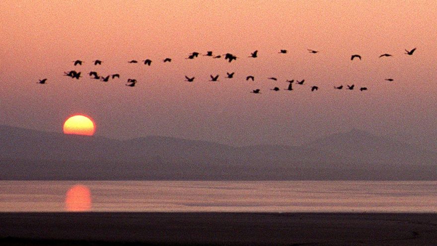 Esta laguna es considerada un paraíso ornitológico y uno de los mejores lugares para ver la puesta de sol en Aragón