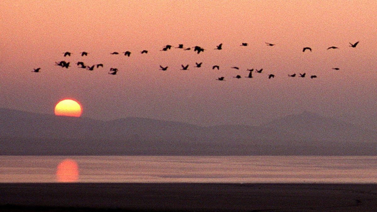 Esta laguna es considerada un paraíso ornitológico y uno de los mejores lugares para ver la puesta de sol en Aragón