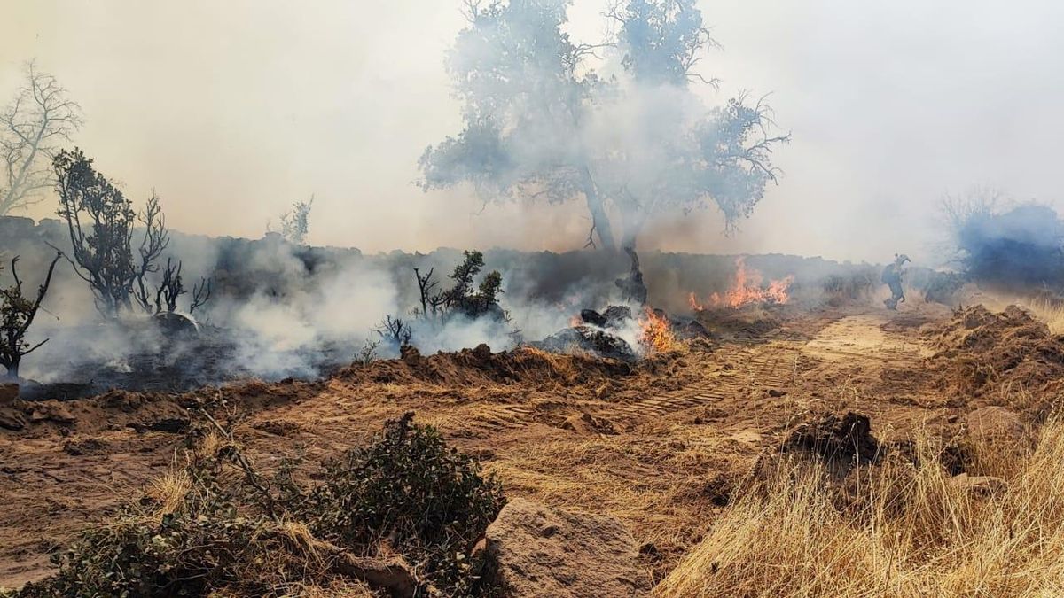 El incendio ya ha calcinado 4.800 hectáreas en un perímetro de 46 kilómetros.