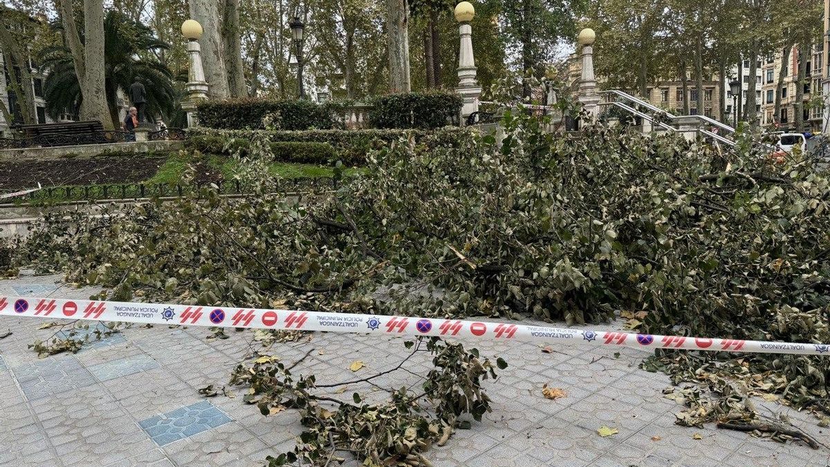 Ramas caídas en Bilbao a causa del viento que ha dejado la borrasca Kirk