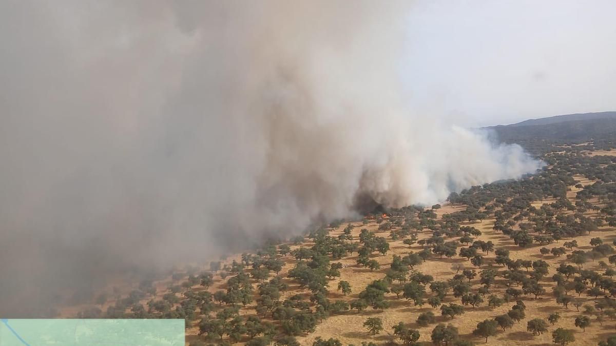 Incendio en Cardeña