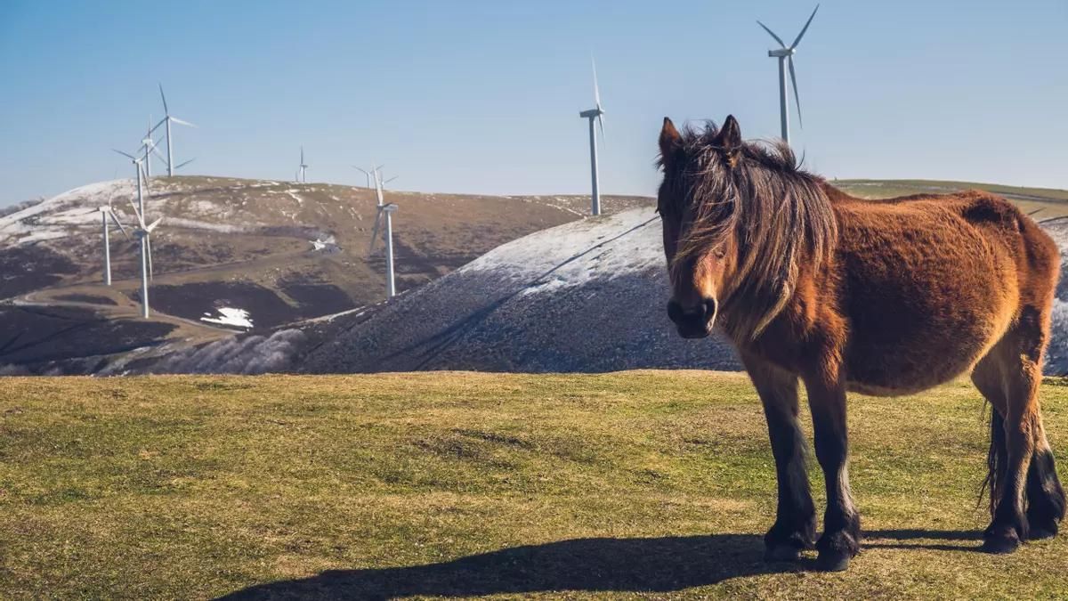 Uno de los parques eólicos instalados en Euskadi.