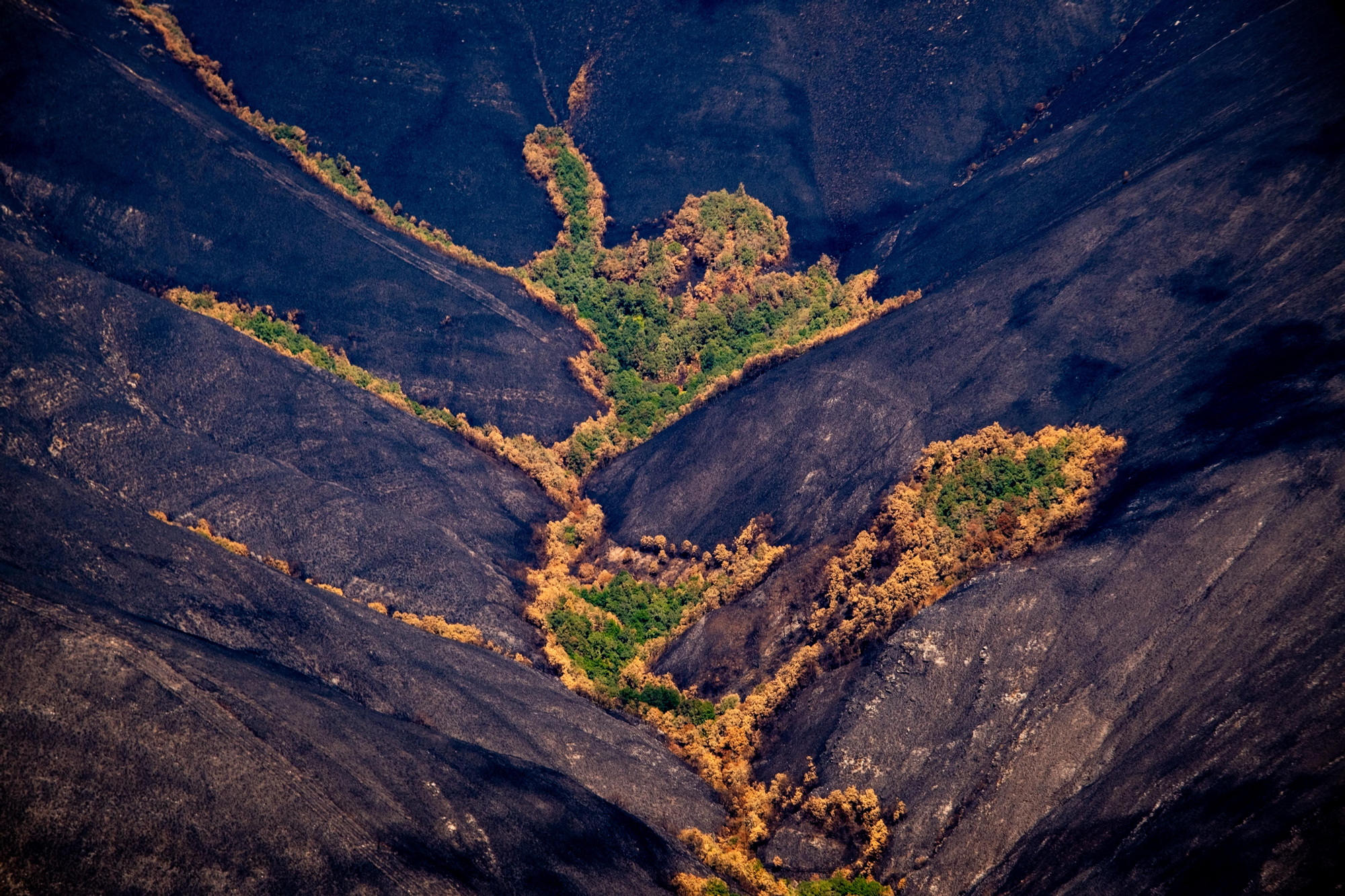 30 agosto 2025. Pico Montouto, Serra dos cabalos. Ourense. Greenpeace/ Pedro Armestre