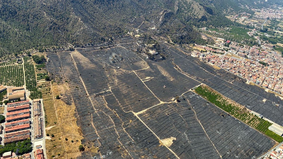 Controlado el incendio forestal de Murcia tras arrasar 177 hectáreas