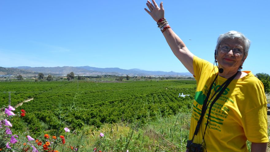 La Justicia ordena a la Junta que pare la obra de la depuradora malagueña de Vega Mestanza por su impacto ambiental