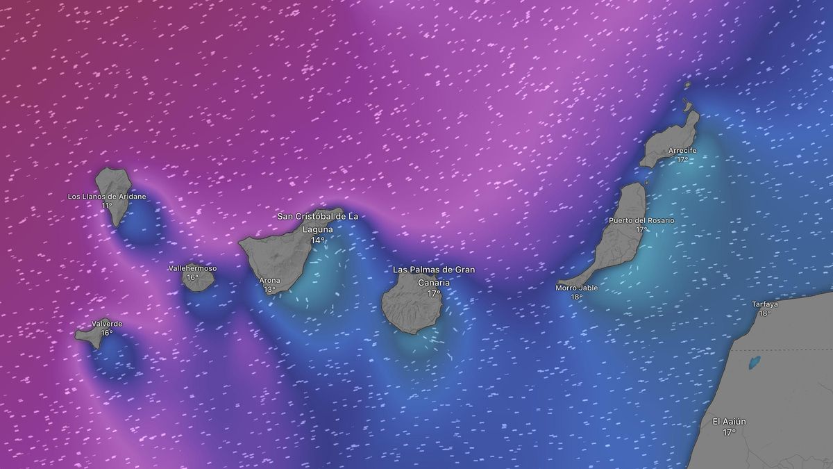 Mapa del oleaje esperado en Canarias este martes. Los colores cálidos indican mayor oleaje.