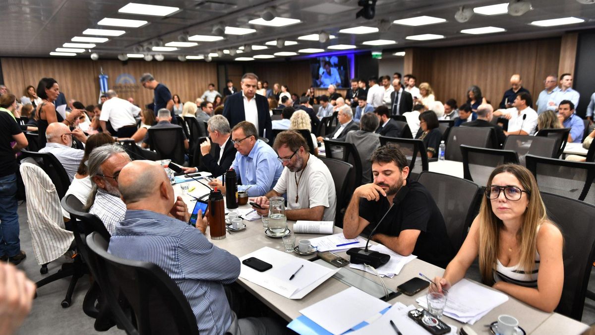 Postal de la reunión de comisiones de Ambiente y de Asuntos Constitucionales de Diputados