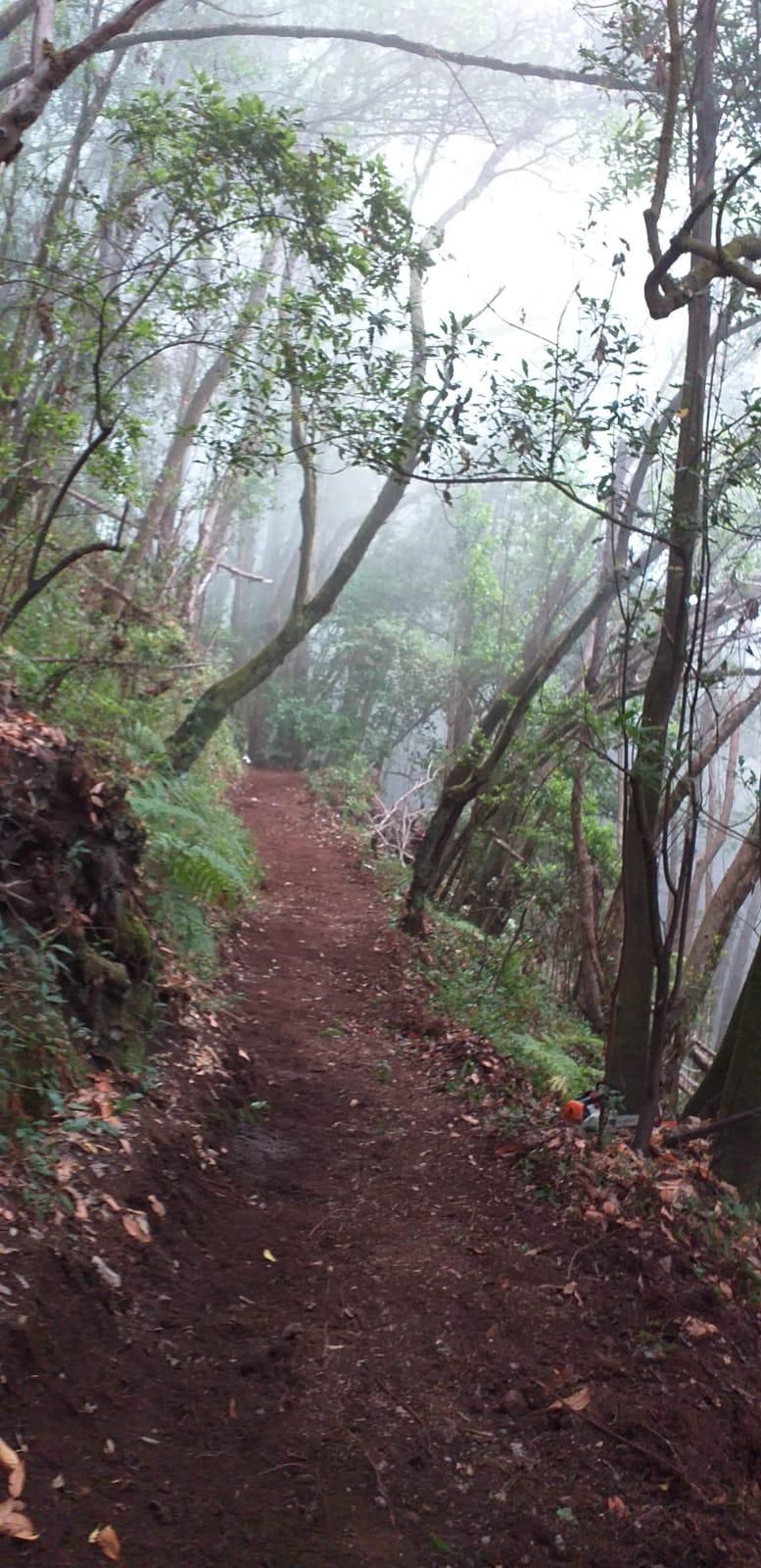 Camino ya recuperado para el tránsito.