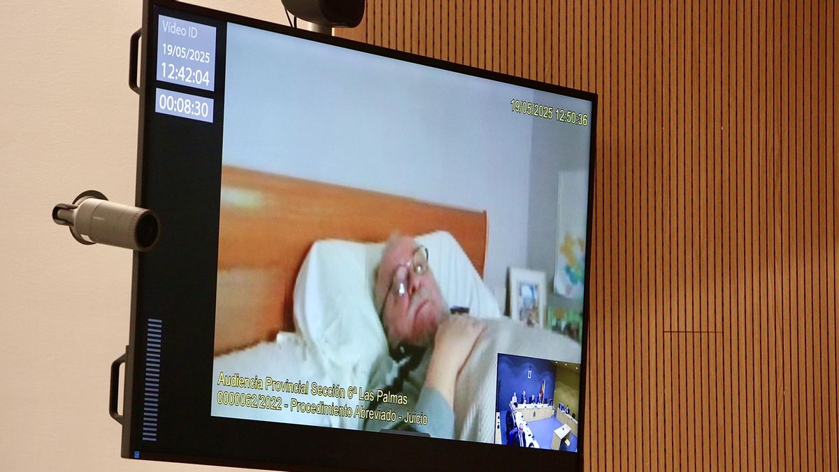 Vladimir Kokorev, en videoconferencia en la vista celebrada este lunes. (ALEJANDRO RAMOS)