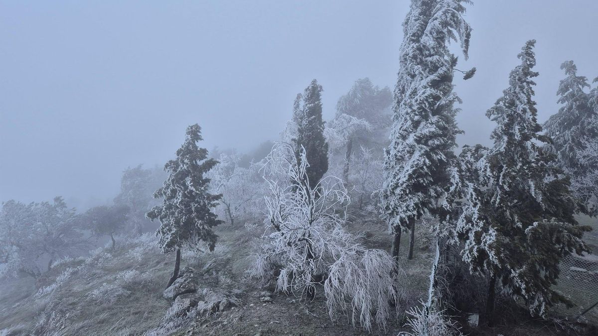 Nieva en la Sierra de Cabra.