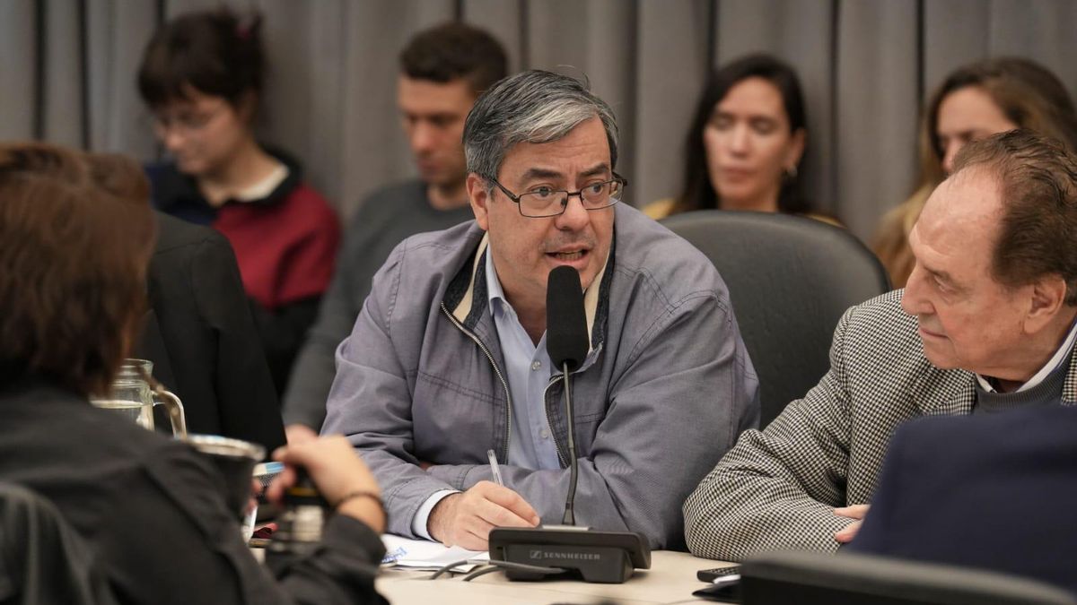 Germán Martínez reclamó que el préstamo de EEUU pase por el Congreso